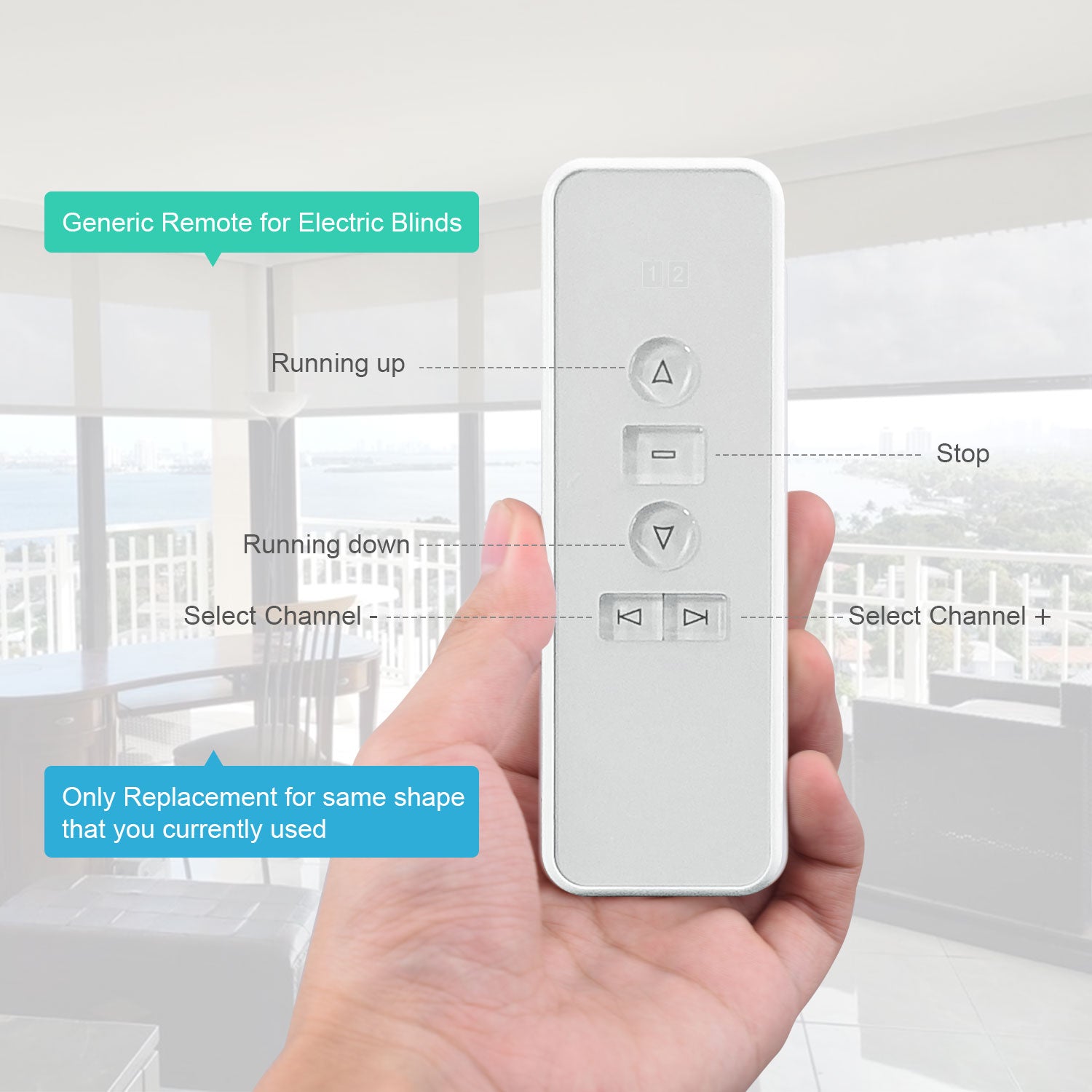 2 Channel Remote